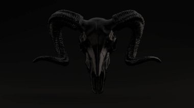 Siyah Kafatası Siyah Arkaplan Ön Görünüm 3D Görüntü