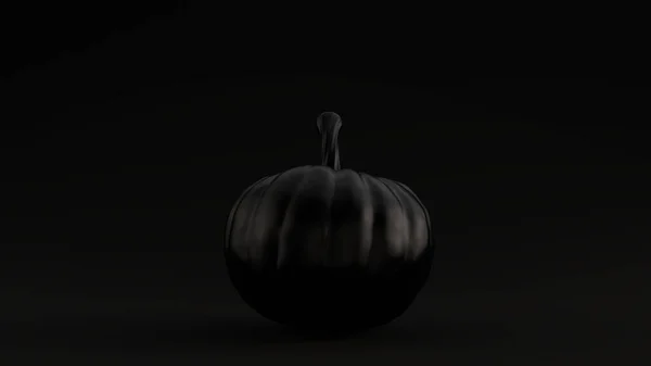 Μαύρη Κολοκύθα Gourd Μαύρο Φόντο Εικόνα Καθιστούν — Φωτογραφία Αρχείου