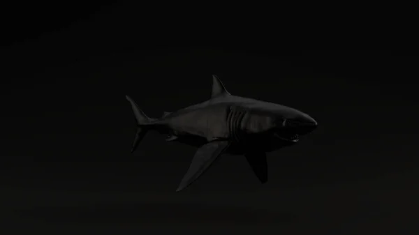 Black Great White Shark Illustration Render — Stock Photo, Image