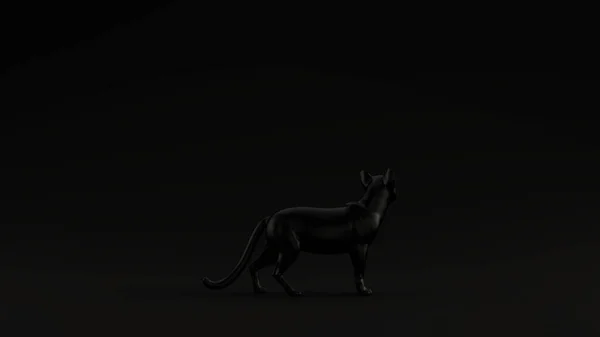 黒猫黒の背景3Dイラスト 3Dレンダリング — ストック写真