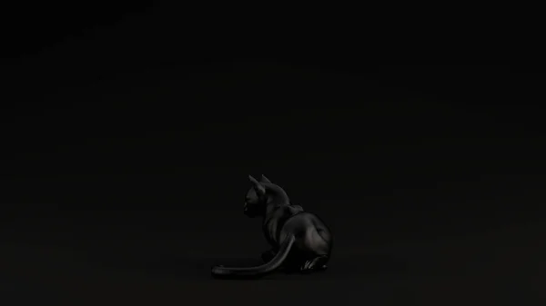 Preto Gato Preto Fundo Ilustração Render — Fotografia de Stock