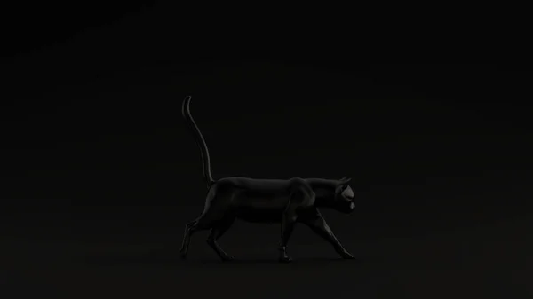 黒猫黒の背景3Dイラスト 3Dレンダリング — ストック写真