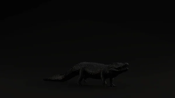 Preto Crocodilo Preto Fundo Ilustração Render — Fotografia de Stock