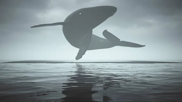 Μυστηριώδης Μαύρη Φάλαινα Humpback Λευκά Μάτια Που Επιπλέουν Πάνω Από — Φωτογραφία Αρχείου