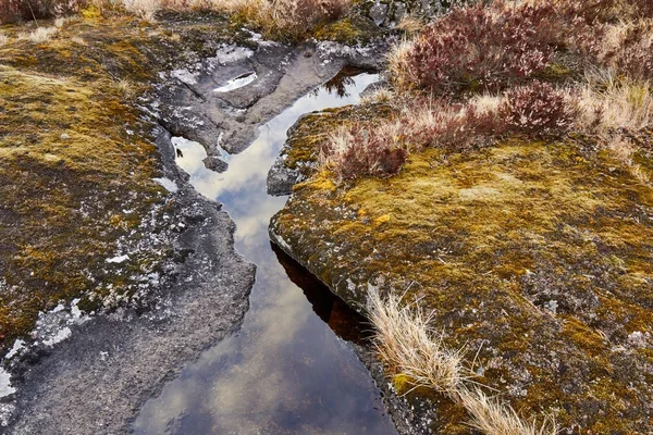 Mayıs ayında Ladoga Gölü gezinin bir — Stok fotoğraf