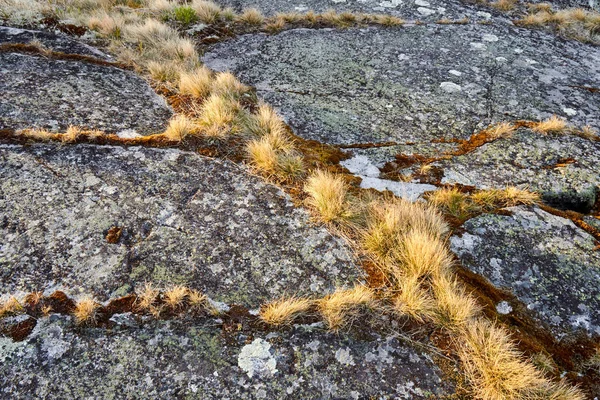 Uma viagem através do Lago Ladoga em maio — Fotografia de Stock