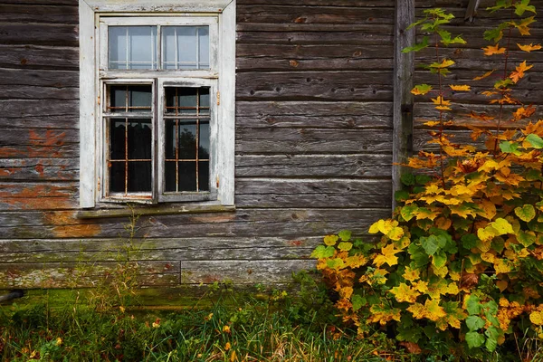 Eski ahşap duvar ve sarı yapraklar doku — Stok fotoğraf