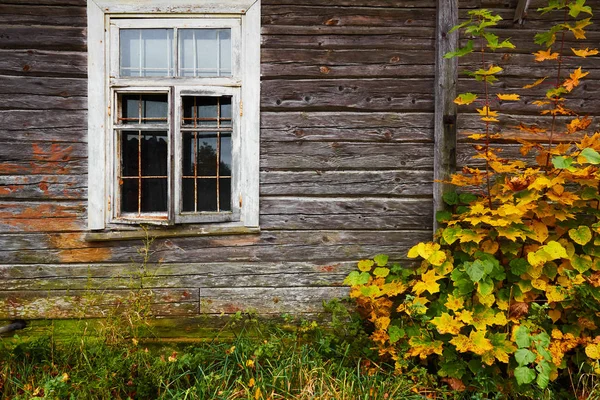 Textuur van oude houten muur en gele bladeren — Stockfoto