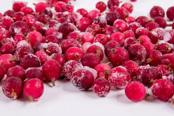 Berryred Del Grosellero Congelado Baya — Foto de Stock