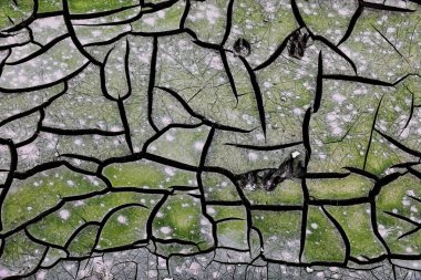 doku kırık dünya, kil, yeşil, beyaz çatlamak