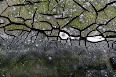 doku kırık dünya, kil, yeşil, beyaz çatlamak