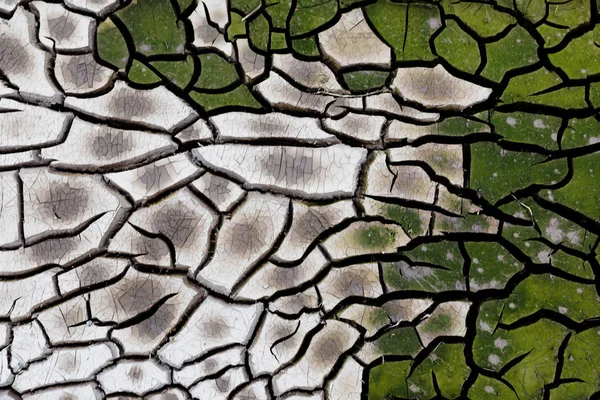 Gebarsten Aarde Textuur Klei Groene Witte Crack — Stockfoto