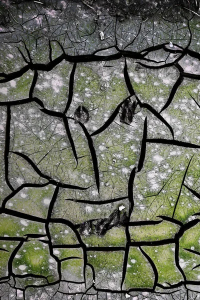 Textura Terra Rachada Argila Verde Rachadura Branca — Fotografia de Stock