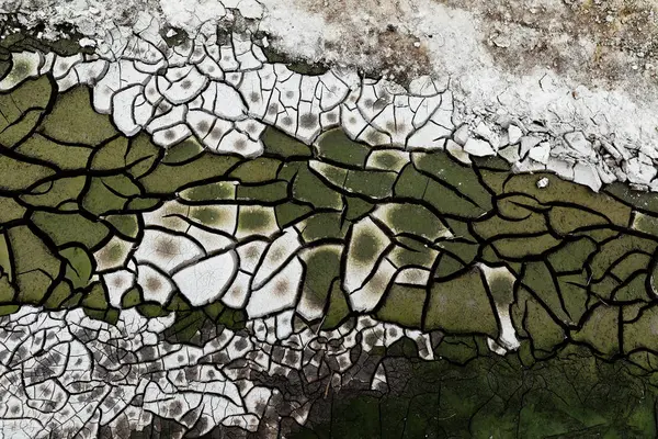 Gebarsten Aarde Textuur Klei Groene Witte Crack — Stockfoto