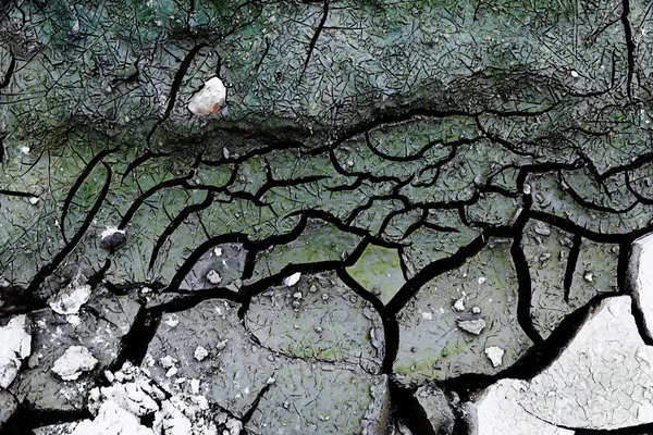 Cracked Earth Texture Clay Green White Crack — Stock Photo, Image