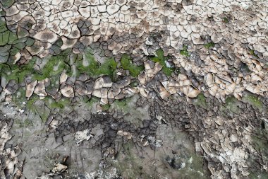 doku kırık dünya, kil, yeşil, beyaz çatlamak