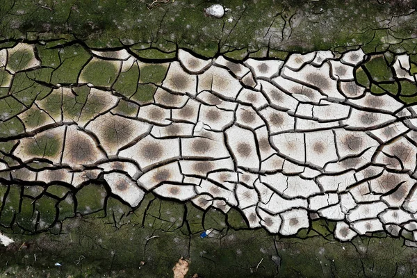 Cracked Earth Texture Clay Green White Crack — Stock Photo, Image