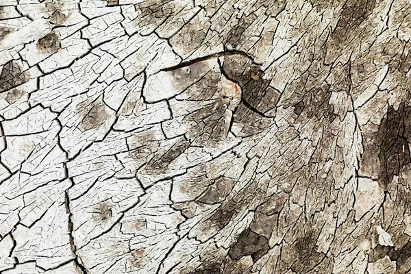 Gebarsten Aarde Textuur Klei Groene Witte Crack — Stockfoto