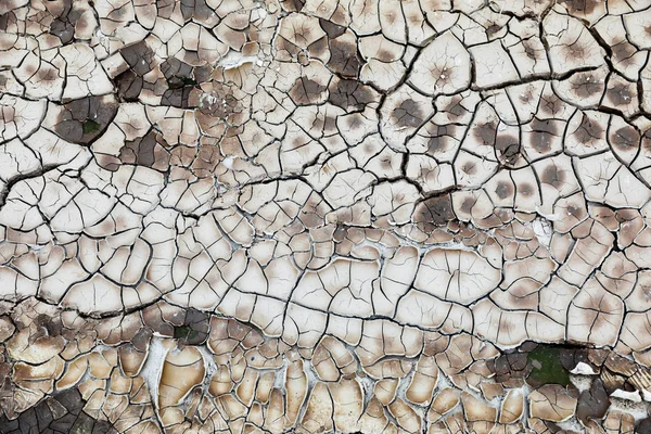 Textura Tierra Agrietada Arcilla Verde Grieta Blanca — Foto de Stock