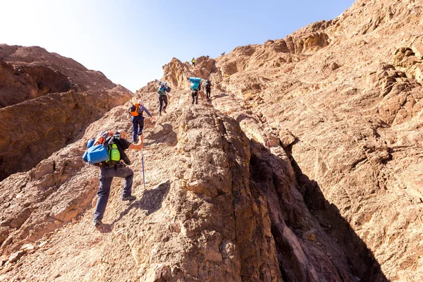 Grupp backpackers stigande klättring desert mountain trail livsstil — Stockfoto