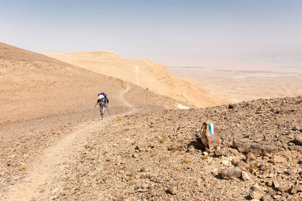 Backpacker gars randonnée randonnée montagne désert sentier . — Photo