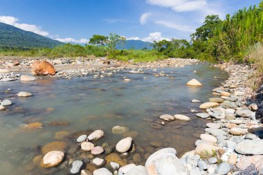 Sakin güzel nehir akarsu kayalık bankalar kıyı şeridi orman dağlar tepeler ağaçlar, Quincemil, Peru seyahat kaplı.