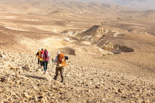 Quatre randonneurs, désert du Néguev, Israël . — Photo