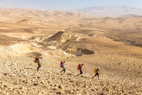 Quatre randonneurs, désert du Néguev, Israël . — Photo