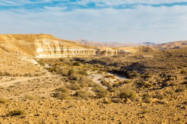 Nehir creek uçurumlar, Güney İsrail manzara çöl.
