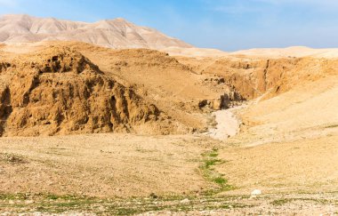 Desert canyon derin gorge doğal manzaralı, İsrail. 