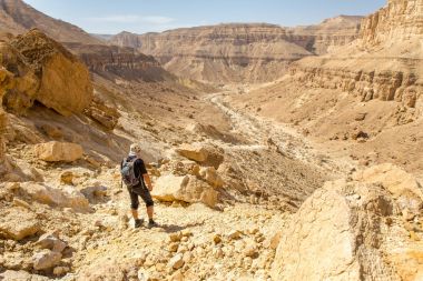 Turist çöl Kanyon dağ manzaralı seyir.
