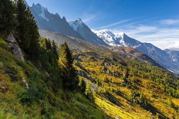 Δάσος πλαγιές Mont Blanc βουνό τοπίο κορυφής, Chamonix. — Φωτογραφία Αρχείου