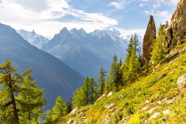 Mont Blanc sıradağları dağ sıraları toplu zirve manzarası, güneşli orman uçurumları Chamonix 'i geziyor ünlü konum, Fransa Alpleri yolculuğu, Avrupa turizmi.