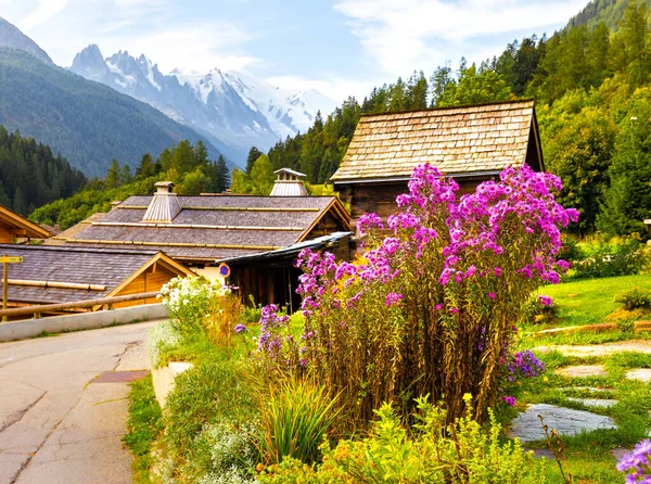 Bloeiende Bloemen Bush Reizen Chamonix Beroemde Locatie Frankrijk Alpen Reis — Stockfoto