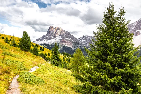 Sendero Sendero Montaña Sendero Bosque Pinos Peitlerkofel Vista Panorámica Viaje — Foto de Stock