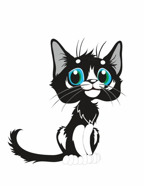 Black and white cat, — Stock Vector