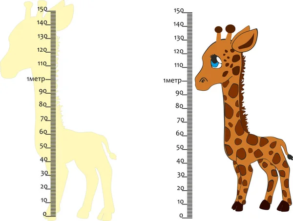 Для измерения роста, метр на стене — стоковый вектор
