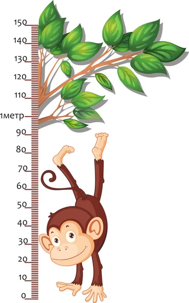 Mètre pour mesurer la croissance avec un singe — Image vectorielle