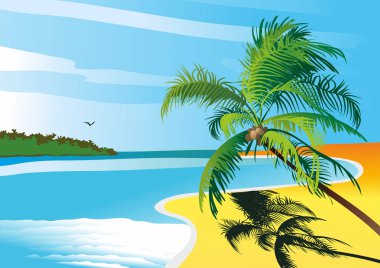 Tropikal plaj deniz palm