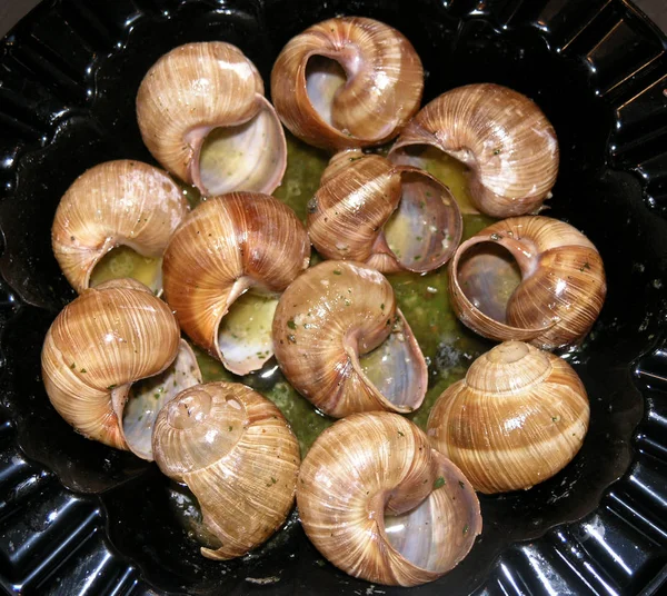 Comida escargot vacía — Foto de Stock