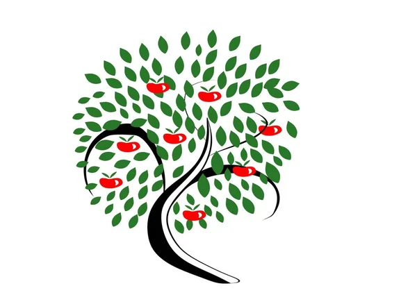 Apple Tree Red Apples Leaves White Background Vector — Stock Vector