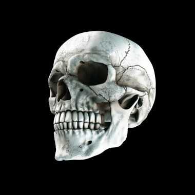 Gerçek insan zengin kafatasında bir siyah arka plan renkleri. Ölüm, korku kavramı. Spooky Halloween bir sembolü. 3D render illüstrasyon.