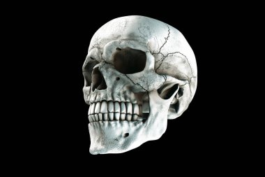 Gerçek insan zengin kafatasında bir siyah arka plan renkleri. Ölüm, korku kavramı. Spooky Halloween bir sembolü. 3D render illüstrasyon.