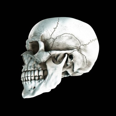 Gerçek insan zengin kafatasında bir siyah arka plan renkleri. Ölüm, korku kavramı. Spooky Halloween bir sembolü. 3D render illüstrasyon.