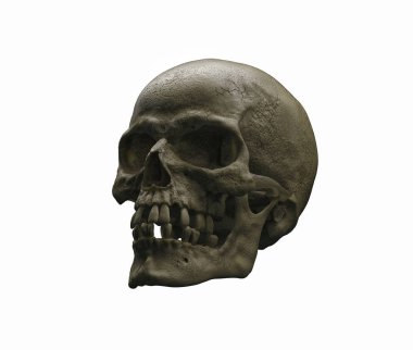Gerçek insan zengin kafatasında bir siyah arka plan renkleri. Ölüm, korku kavramı. Spooky Halloween bir sembolü. 3D render illüstrasyon.