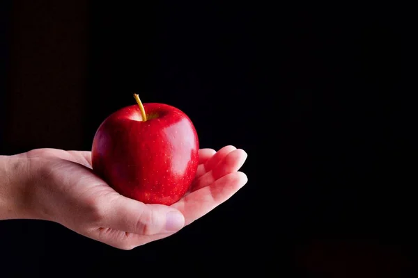 빨간 사과 손에 들고 — 스톡 사진