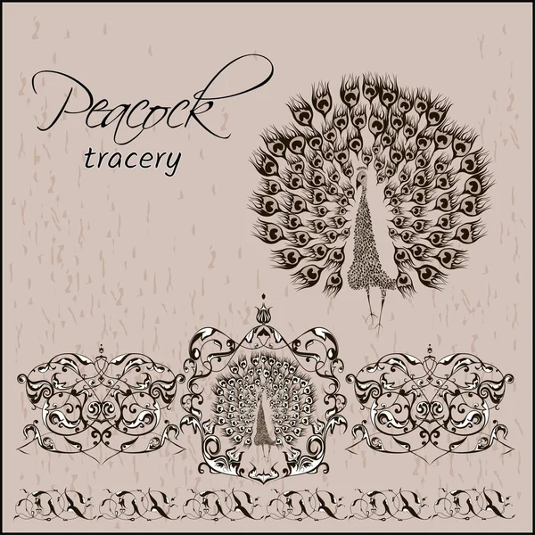 Peacock décoration de boucle — Image vectorielle