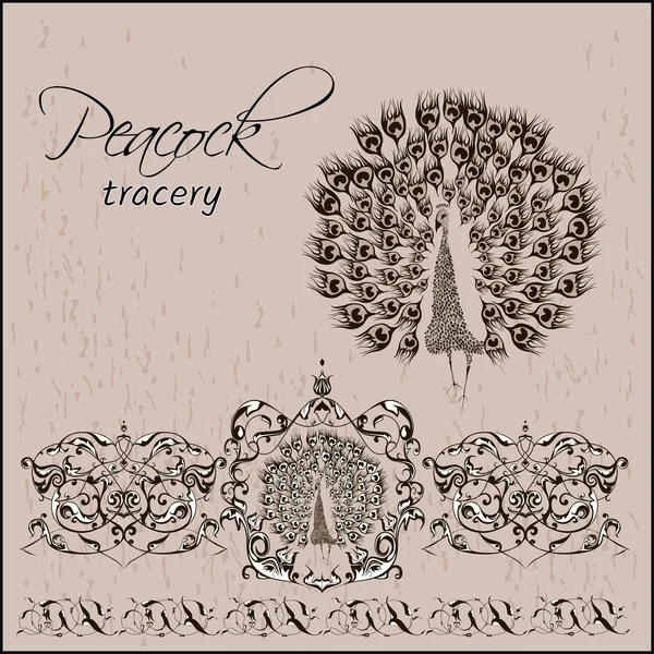 Tavus kuşu curl dekorasyon
