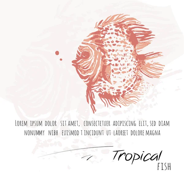 Poisson rouge tropical abstrait — Image vectorielle