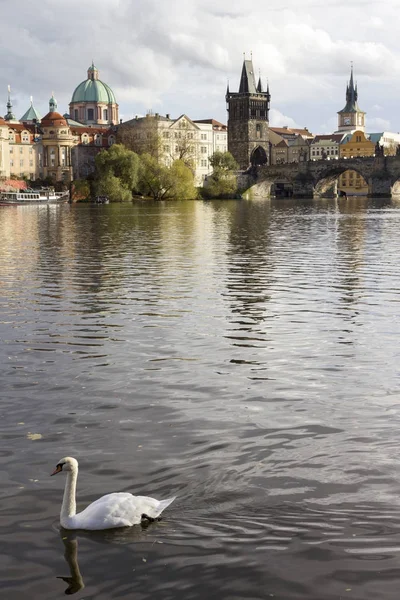 Charles bridge Praag — Stockfoto